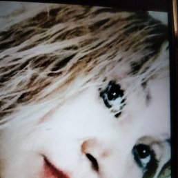 , 43 , 