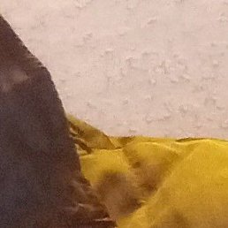 ���� ����, ������, 51 ��� - ��������� 1 ������ 2023