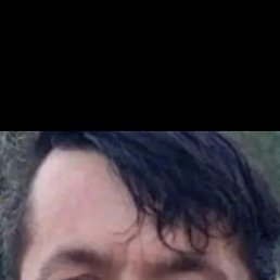 �����, ������, 39 ���