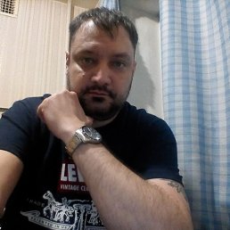 �����, ��������, 41 ���