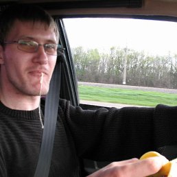 ���� ����, ����������� ����, 44 ���� - ��������� 2 ������ 2026