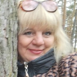 ��������, �����, 54 ����