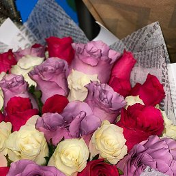 Svet, ���������, 57 ���