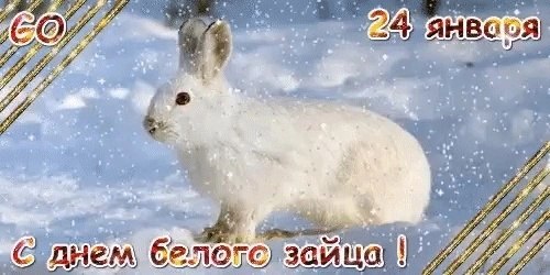 �������: ��������, �����, ������, �����, �������, ������, ��������, ������� - 5