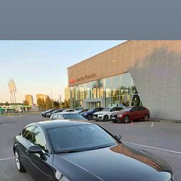 ���� �����, �����, 39 ��� - ��������� 9 ������ 2024