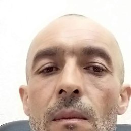 ���� ��������, 46 ���, ������