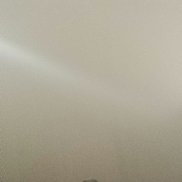 Danilovich, 38 ���, ���������