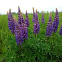 ���� ���, ������ - ��������� 4 ���� 2025 � ������ ������ ��������