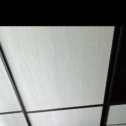 ���� �������, �����-���������, 49 ��� - ��������� 3 ���� 2026