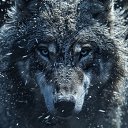 ���� �����, �����������, 39 ��� - ��������� 26 �������� 2025