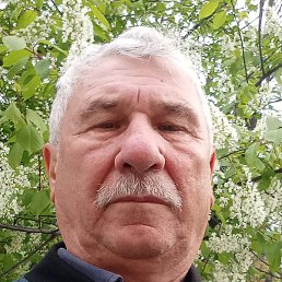 �������, ���������, 66 ���