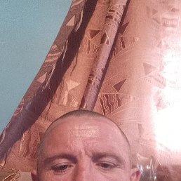 ������, 41 ���, ���������