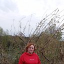 ���� ����, �����, 45 ��� - ��������� 2 ������ 2024 � ������ ���� ����������