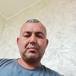 , 41, 
