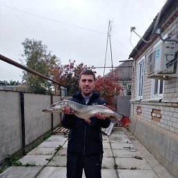 ���� ���������, ������, 44 ���� - ��������� 13 ����� 2025