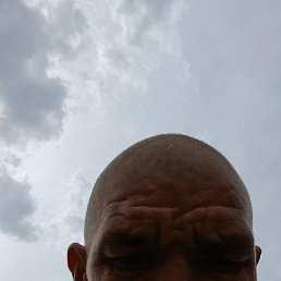 ������, ���������, 39 ���