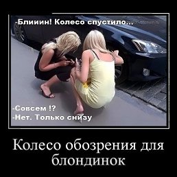 ���������, �����, 44 ����