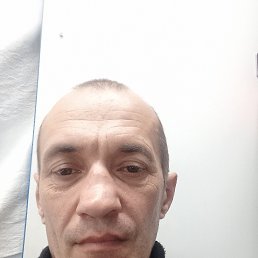 , 41, 