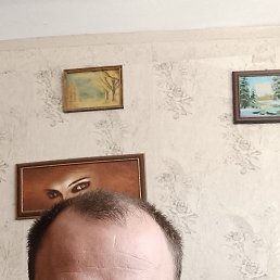 �����, 38 ���, ���������