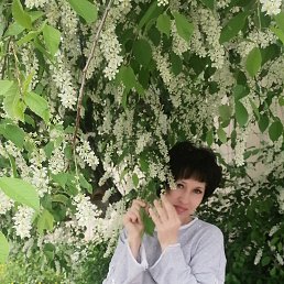 ���� �����, ����, 51 ��� - ��������� 17 ������� 2025