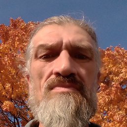 ����� ������, ��������, 56 ���