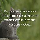 ���� �������, ������ - ��������� 28 ������ 2026 � ������ ������ ��������