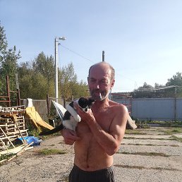 ��������� ����������, ������, 51 ���