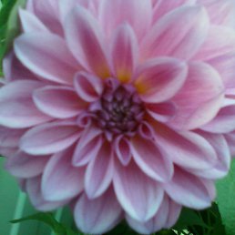 ���� ����, �����-���������, 60 ��� - ��������� 7 ������ 2025