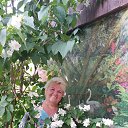 ���� Albina, �����������, 62 ���� - ��������� 8 ���� 2025 � ������ ���� ����������