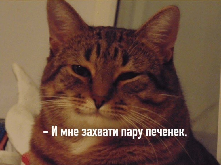       - 25  2025  21:50 - 3