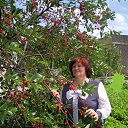 ���� �������, �������, 68 ��� - ��������� 12 ��� 2024 � ������ ���� ����������