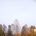 ���� �����, ������, 46 ��� - ��������� 3 ������� 2024 � ������ ���� ����������