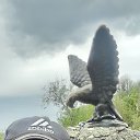 ���� �������, ���������, 55 ��� - ��������� 6 ������ 2026 � ������ ���� ����������