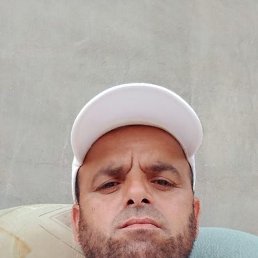 , 29, 