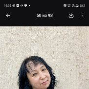 ������, 41 ���, ����������