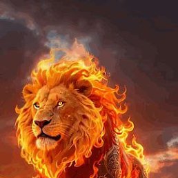 ���� ������� �������, ������, 39 ��� - ��������� 21 ������� 2025