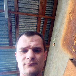 , 32, 