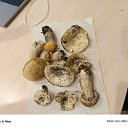  , --, 30  -  4  2025