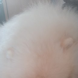 ���� �������, ���������, 43 ���� - ��������� 26 ������ 2026