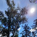 ���� ���������, ������ - ��������� 17 ������ 2026 � ������ �������� � ������