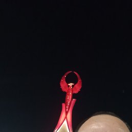 �, �������, 34 ����