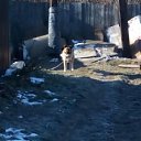 ���� �������, �������, 34 ���� - ��������� 6 ������ 2026