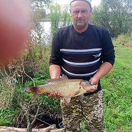 ���� �����, ����, 43 ���� - ��������� 19 ������ 2026