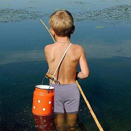 �����, ������, 51 ���