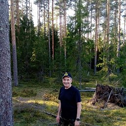 ���� ����� ���������, ������, 68 ��� - ��������� 9 ������ 2024