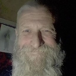 ����, �����-���������, 53 ����