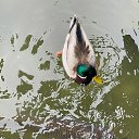 ���� �����, ������, 24 ���� - ��������� 18 ���� 2024 � ������ ������ ��������