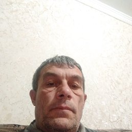 , 52, 