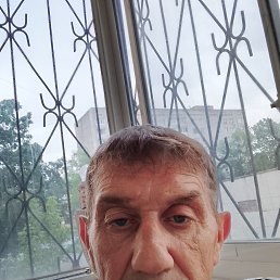 , 54, 
