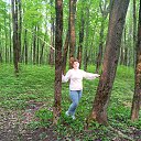 ���� ��������, ���������, 52 ���� - ��������� 29 �������� 2025